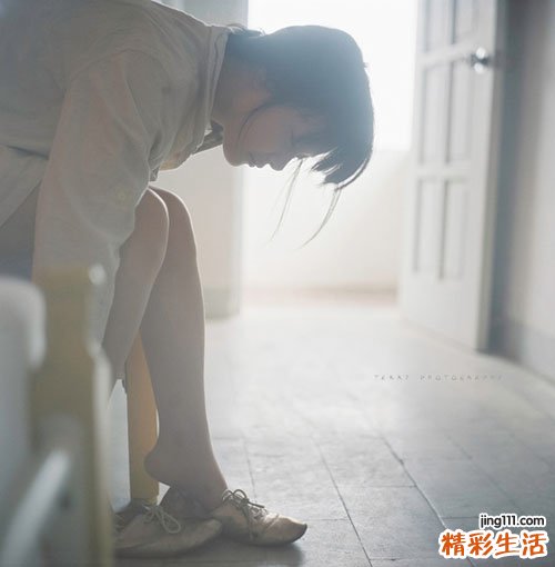 金老梅花