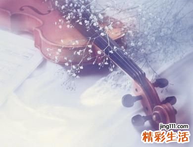 2 九节茶