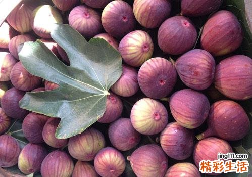 无花果为什么能过敏 蛋白酶、活性成分和有机酸