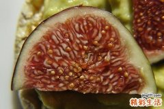 无花果对男人的功效 无花果一天吃多少最好