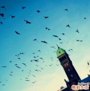老年人莫把“黄斑变性”错认老花眼