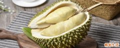 一个榴莲多少钱 一个榴莲出多少肉