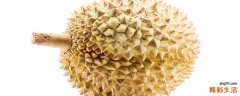 榴莲煲鸡的大忌榴莲煲鸡能放酒下去煲吗