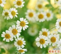 脸颊紧致 守护女人的年龄
