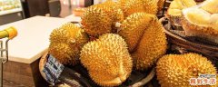 榴莲熟不熟怎么看 没熟的榴莲肉能吃吗