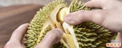 榴莲需要放冰箱冷藏吗 榴莲肉放冰箱可以放几天
