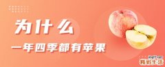 为什么一年四季都有苹果 苹果表面有一层白白的能吃吗