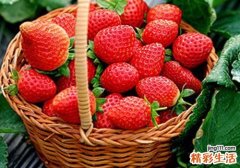 草莓烂了能吃吗 吃了烂草莓会怎样