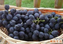 哺乳期吃葡萄宝宝会拉肚子吗