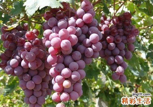 孕妇吃葡萄能吃皮吗 孕妇吃葡萄要注意什么