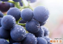 葡萄放冰箱是冷冻还是冷藏保存 这才是葡萄的正常保存方式