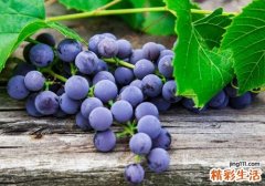来月经可以吃葡萄吗 经期吃葡萄的好处