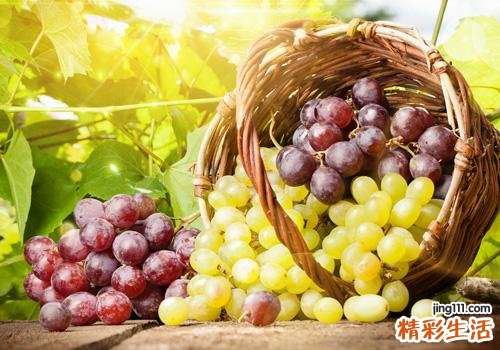 葡萄榨汁要去皮去籽吗 大部分人都不会榨汁