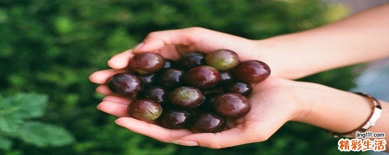 葡萄发霉了其他还能吃吗 葡萄怎样才能保存时间长一些