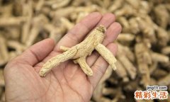 西洋参可以和红枣枸杞一起泡吗 补血、滋阴、明目！