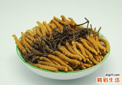 冬虫夏草可以和红枣一起吃吗 冬虫夏草和红枣一起吃的好处