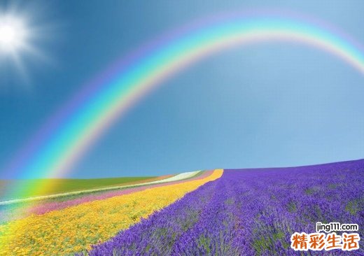 【如何饮食更健康?】不同饮食习惯的状况
