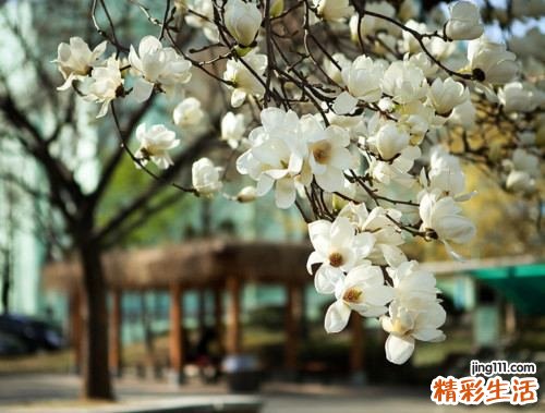 2 寻常痤疮