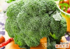 西兰花下面的梗能吃吗 西兰花水煮要多久才熟