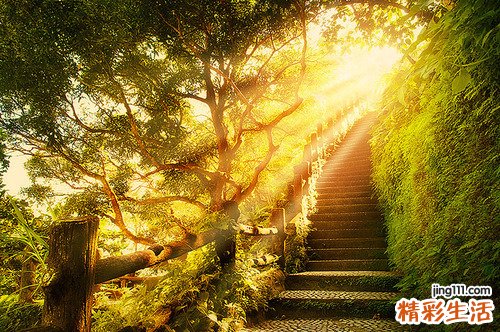 白癜风的常见临床分型