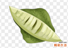 宝宝夏天能吃香瓜吗 香瓜一天可以吃多少