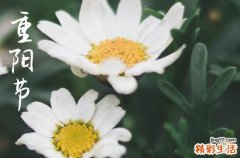 重阳节又叫什么节,重阳节有几种叫法