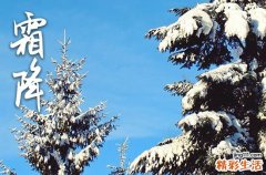 2023年霜降节气是几月几日