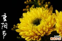 9月9日重阳节是阴历还是阳历