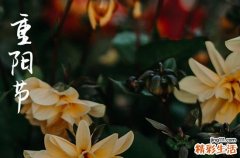 2023年9月几号是重阳节