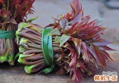 香椿吃了上火吗 香椿适合哪些人吃