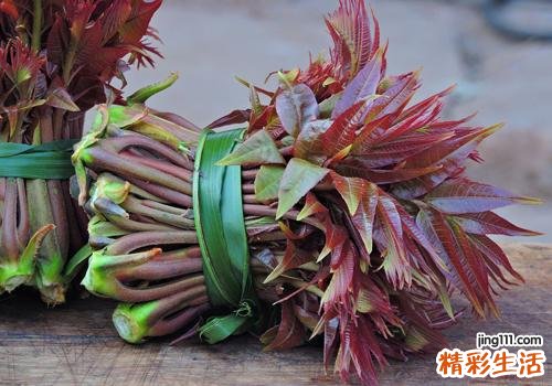 香椿吃了上火吗 香椿适合哪些人吃
