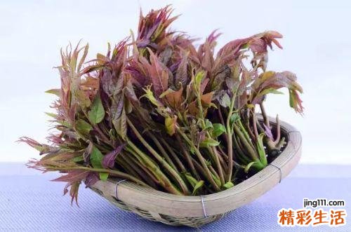 亚硝酸盐高的食物 这些食物里面含有很多亚硝酸盐