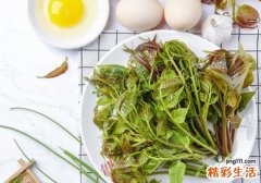 吃香椿有什么好处 香椿和什么一起吃最好