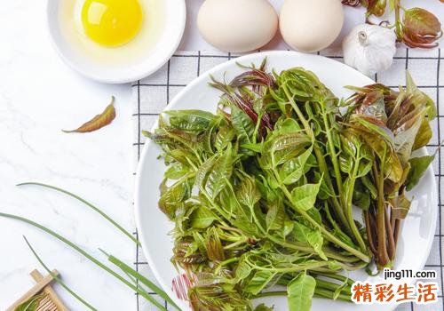 吃香椿有什么好处 香椿和什么一起吃最好