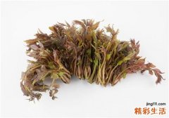 香椿能治糖尿病吗 哪些人不能吃香椿
