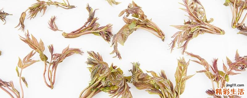 冻香椿的做法 冻香椿怎么吃