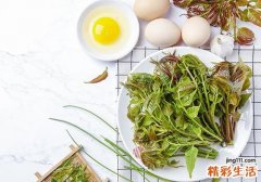 香椿怎么挑选 吃香椿有什么好处