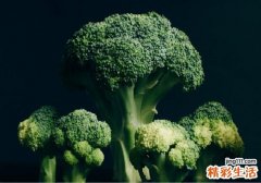 西兰花变黄了还能吃吗 西兰花变黄有毒吗
