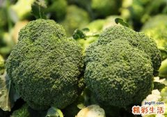 孕妇能不能吃兰花 西兰花孕妇怎样吃有营养