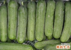 丝瓜发苦是怎么回事 丝瓜有苦味怎么办
