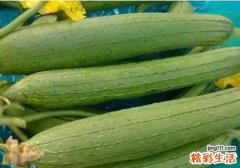 丝瓜怎么炒才好吃 丝瓜的人群宜忌