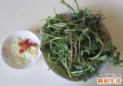 马齿苋怀孕吃了危险吗 孕妇吃了马齿苋怎么办