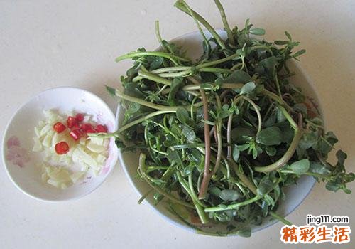马齿苋怀孕吃了危险吗 孕妇吃了马齿苋怎么办