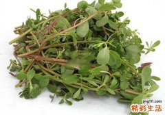 马齿苋对糖尿病的作用 哪种糖尿病吃马齿苋有作用