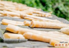 新鲜的竹笋怎么保存 新鲜竹笋的保存方法