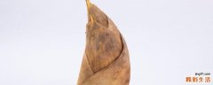 甘蔗和竹笋能一起吃吗 竹笋吃多了有什么危害