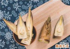 竹笋炒肉怎么做好吃 竹笋的做法