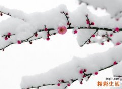 妈咪孕期感染流感 子女易患自闭症