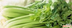 芹菜和什么一起吃好 芹菜有什么营养价值