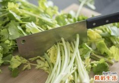 芹菜有减肥的功效吗 芹菜杀精是真的吗